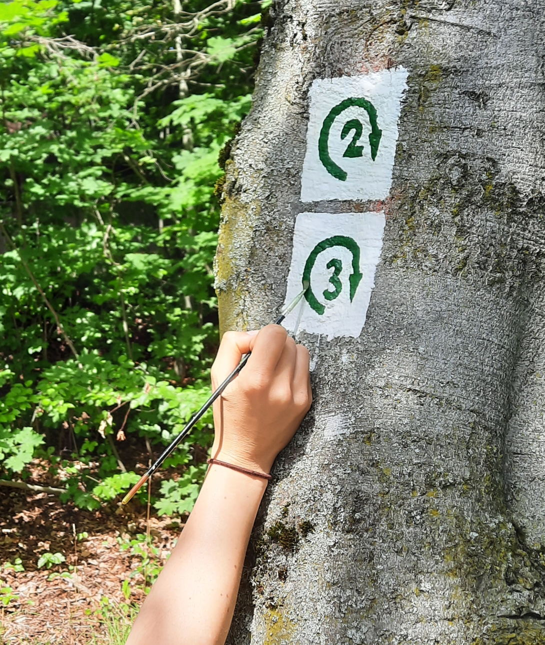 Circular hiking trail - Some of the hiking trails are still marked by hand