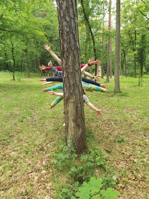 Kinder stehen mit ausgebreiteten Armen hinter einem Baumstamm mitten in einem lichten Wald