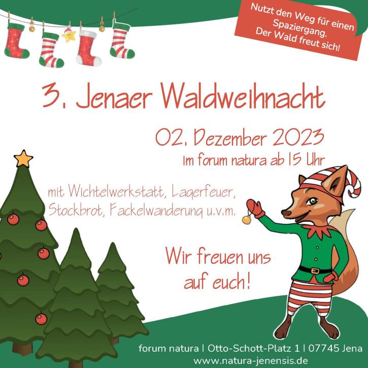 3. Jena Forest Christmas