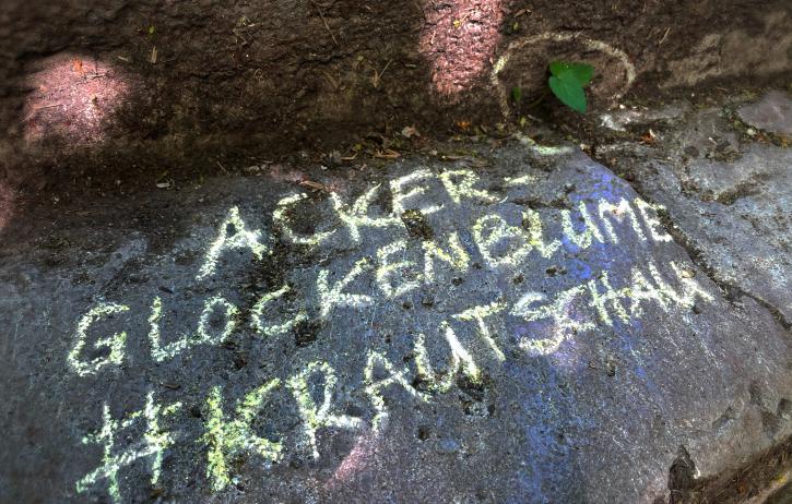 #krautschau