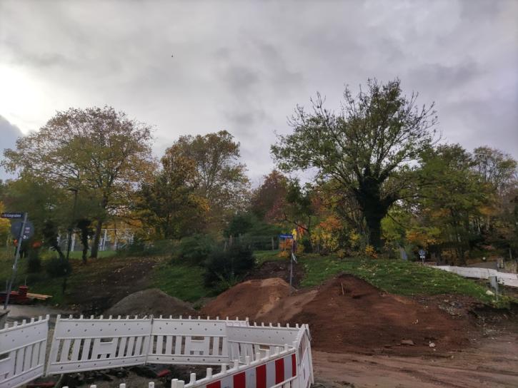 Baumfällung Spielplatz Kritzegraben