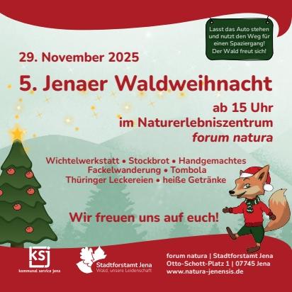 5. Jena Forest Christmas