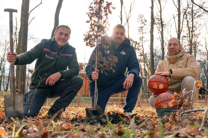 First tree is planted.