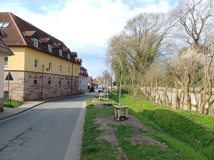 Baumpflanzung im Ortsteil Drackendorf