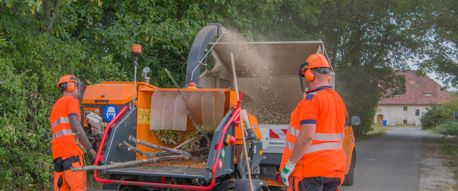 Tree care - shredding branches into wood chips