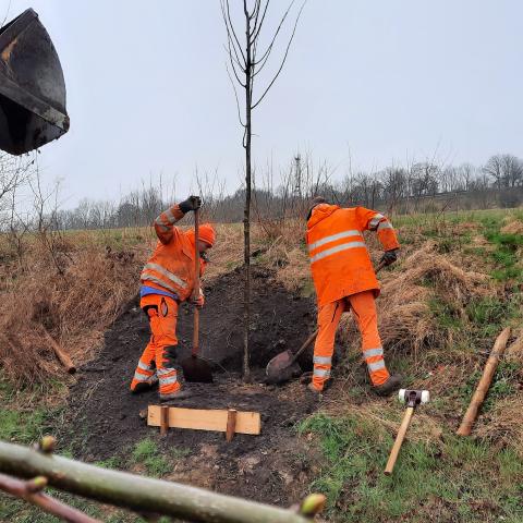 Baumpflanzung des KSJ am Jägerberg
