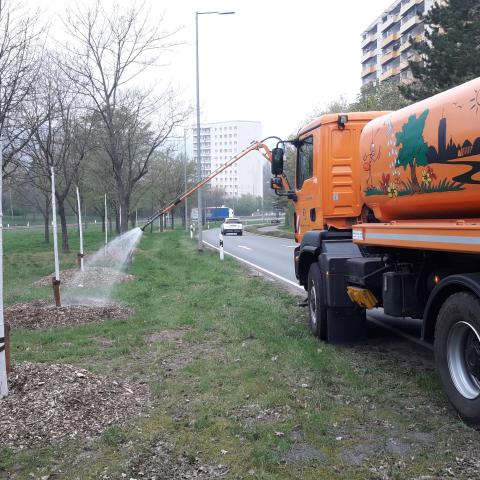 Wässern mit dem Gießfahrzeug