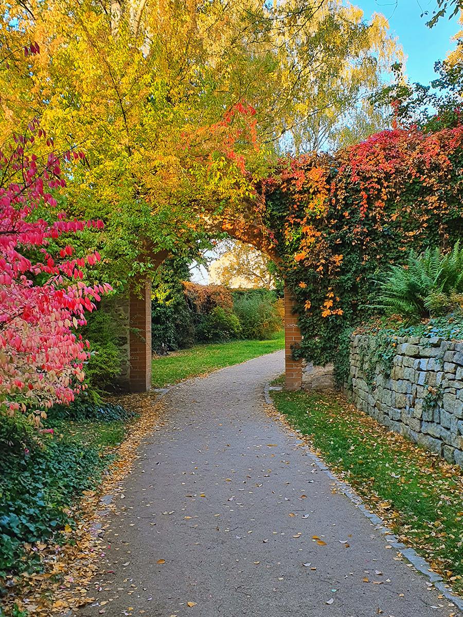 Ein Weg gesäumt mit herbstlich gefärbten Büschen, Bäumen und einer Natursteinmauer mit Rundbogen als Durchgang, 