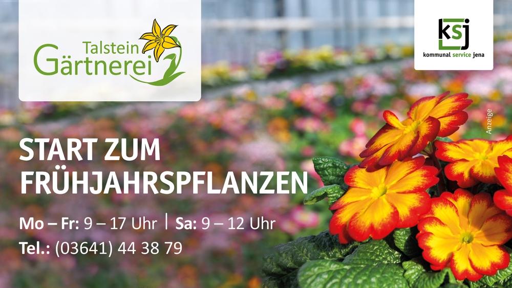 Sale of spring plants in the Talstein nursery