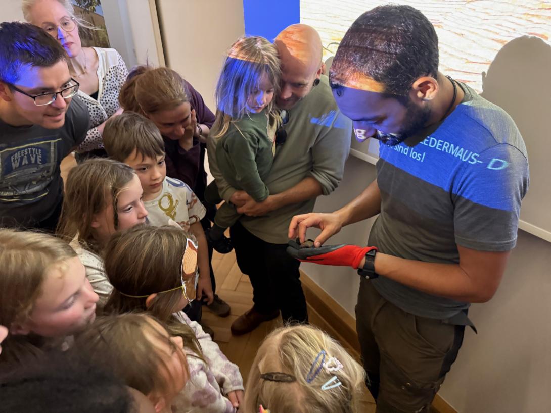 Fledermäuse zum Greifen nah – Bat Night im forum natura