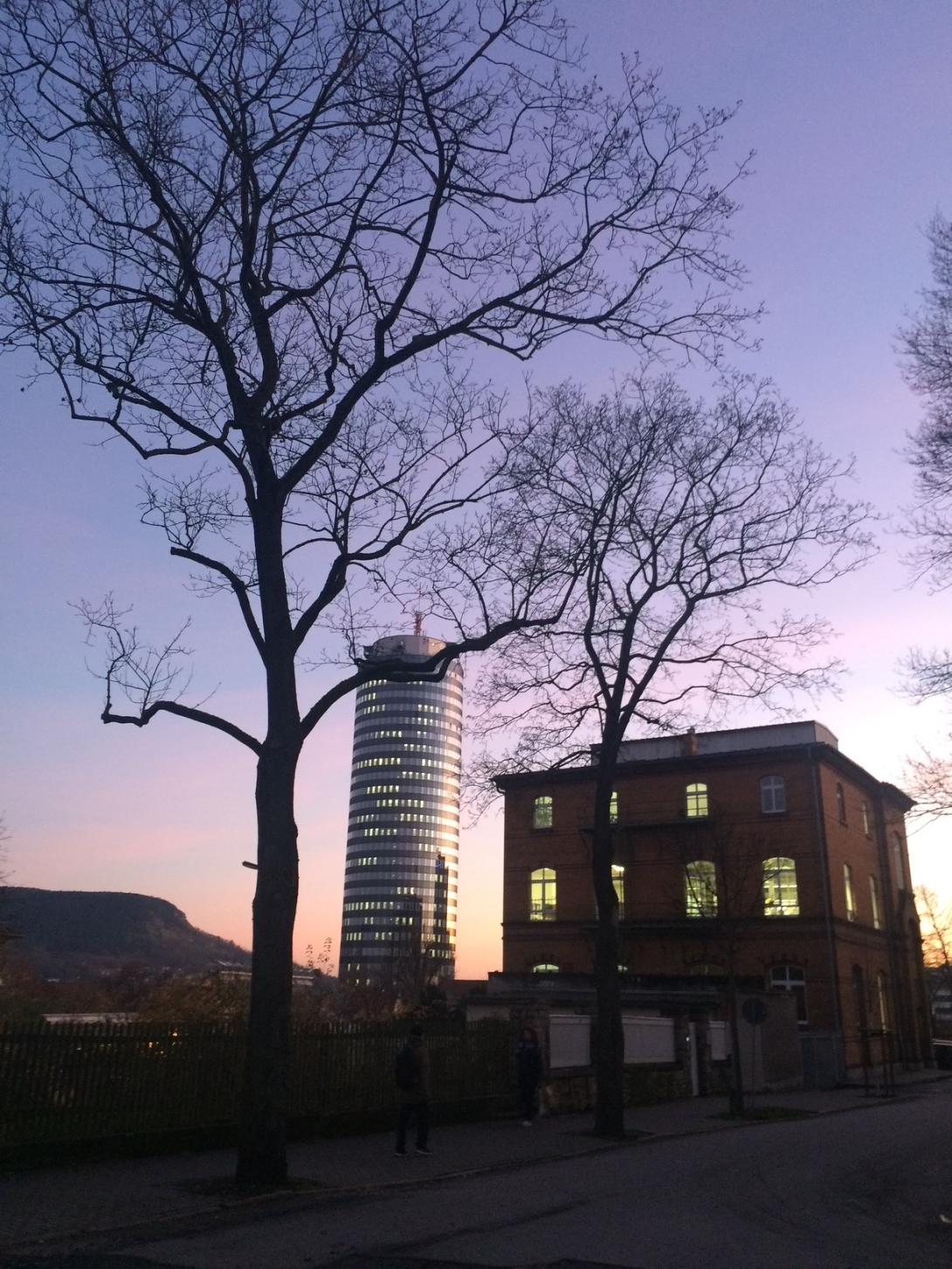 City tree