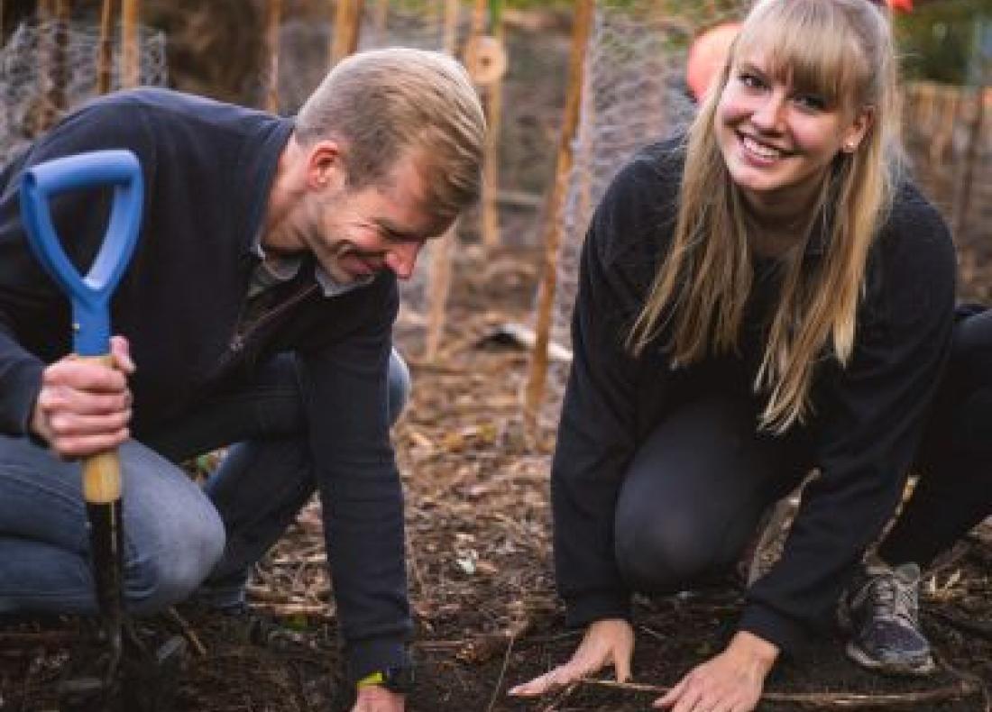 Tree planting campaign