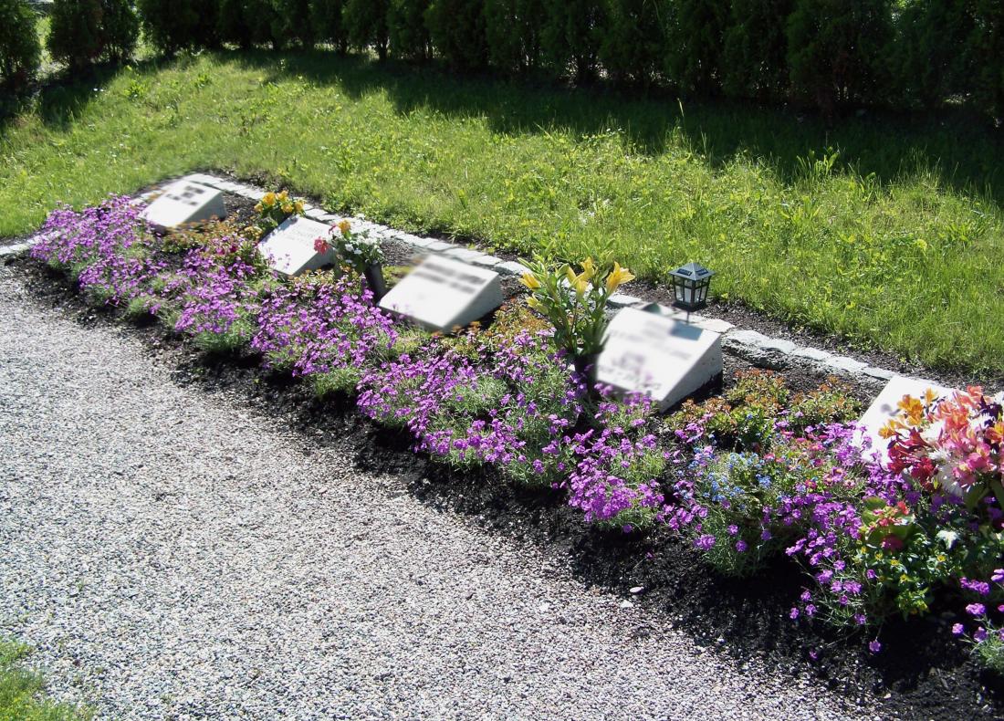 Care graves at the Winzerla cemetery
