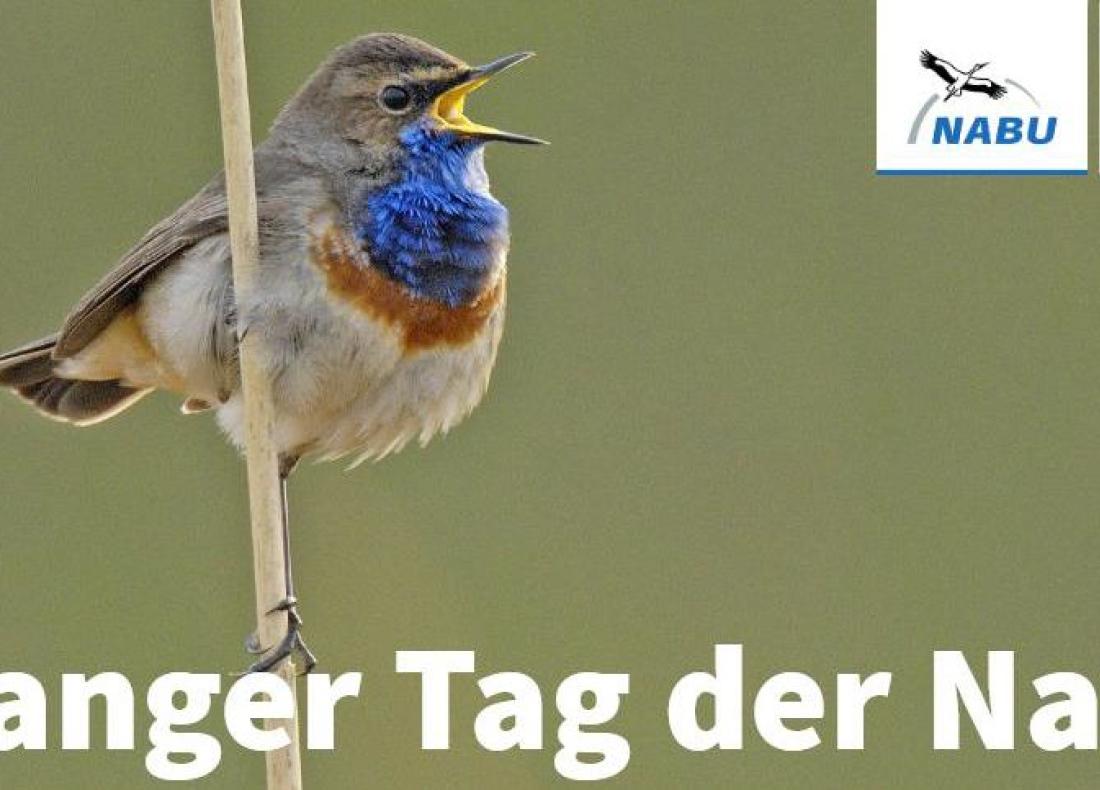 Langer Tag der Natur