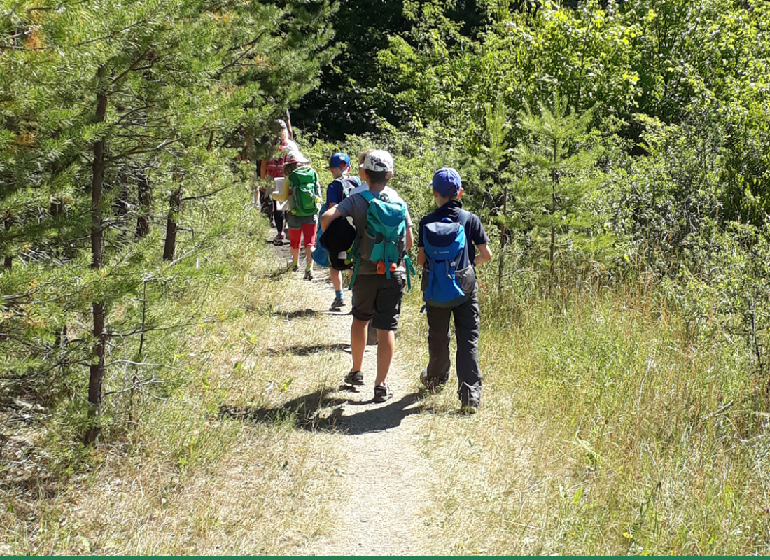 Guided tour for the Day of the Forest