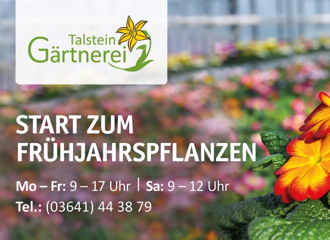 Verkauf von Frühjahrspflanzen in der Gärtnerei Talstein
