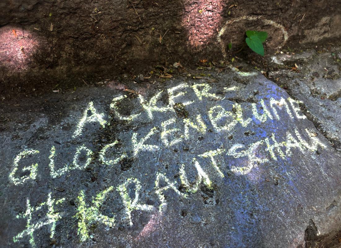 #krautschau