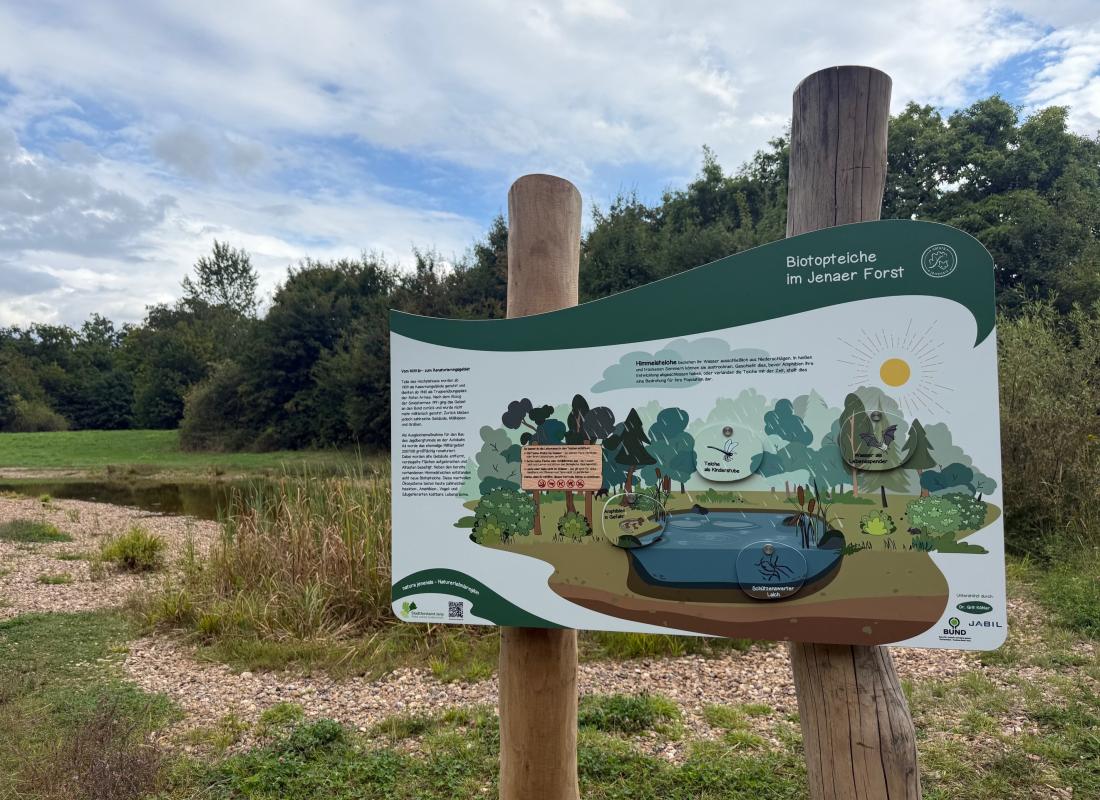 Neue Informationstafel schützt Biotopteiche und ihre Bewohner