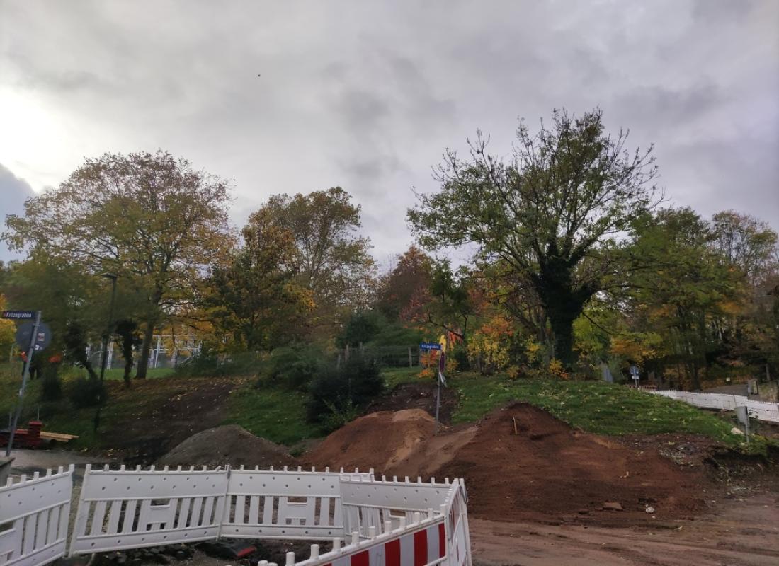 Baumfällung Spielplatz Kritzegraben
