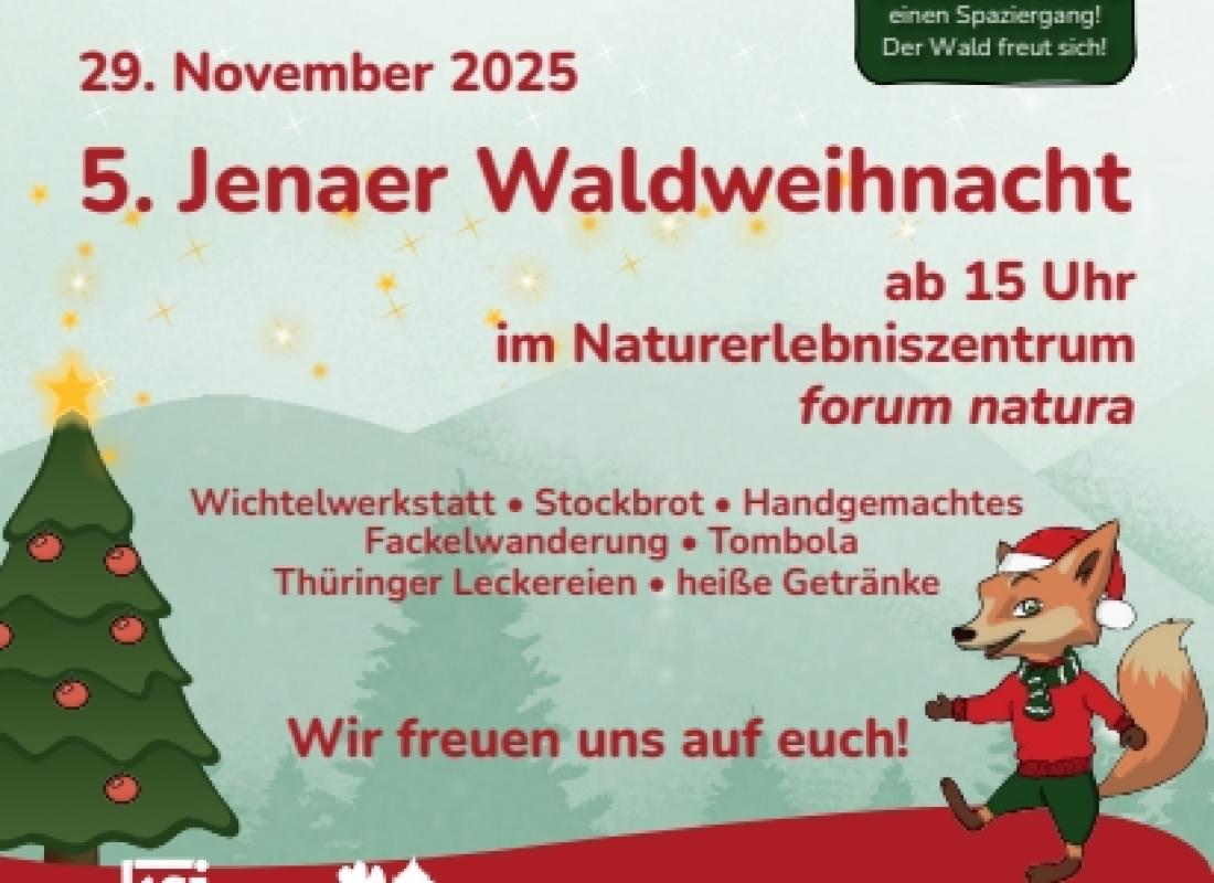 5. Jena Forest Christmas