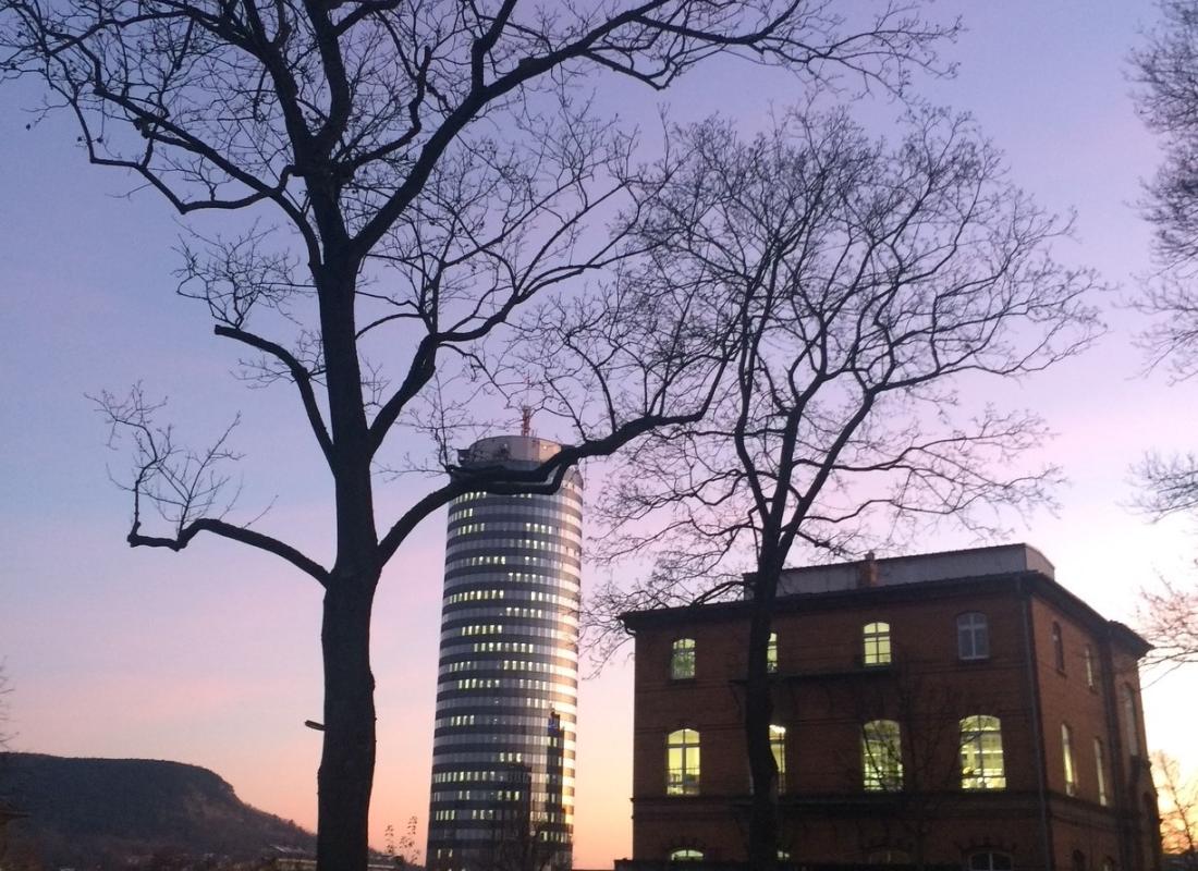 City tree
