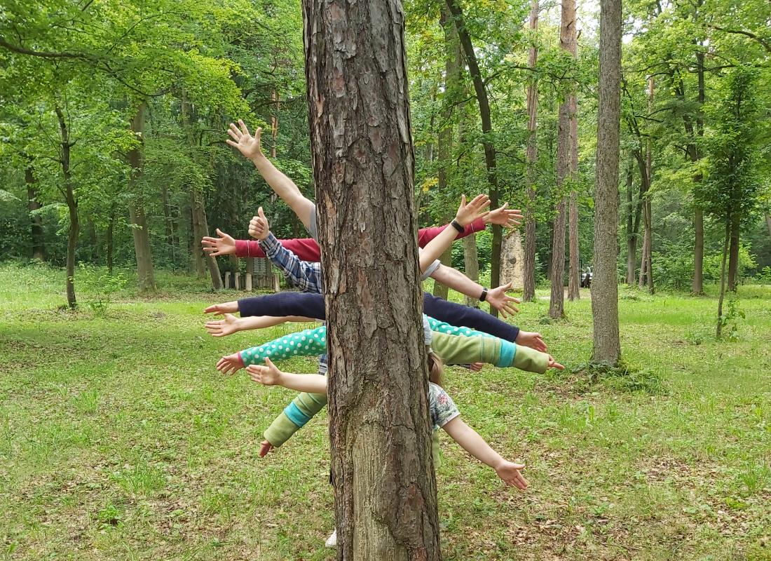 Personen stehen hinter einem Baum und man sieht die Arme/Hände